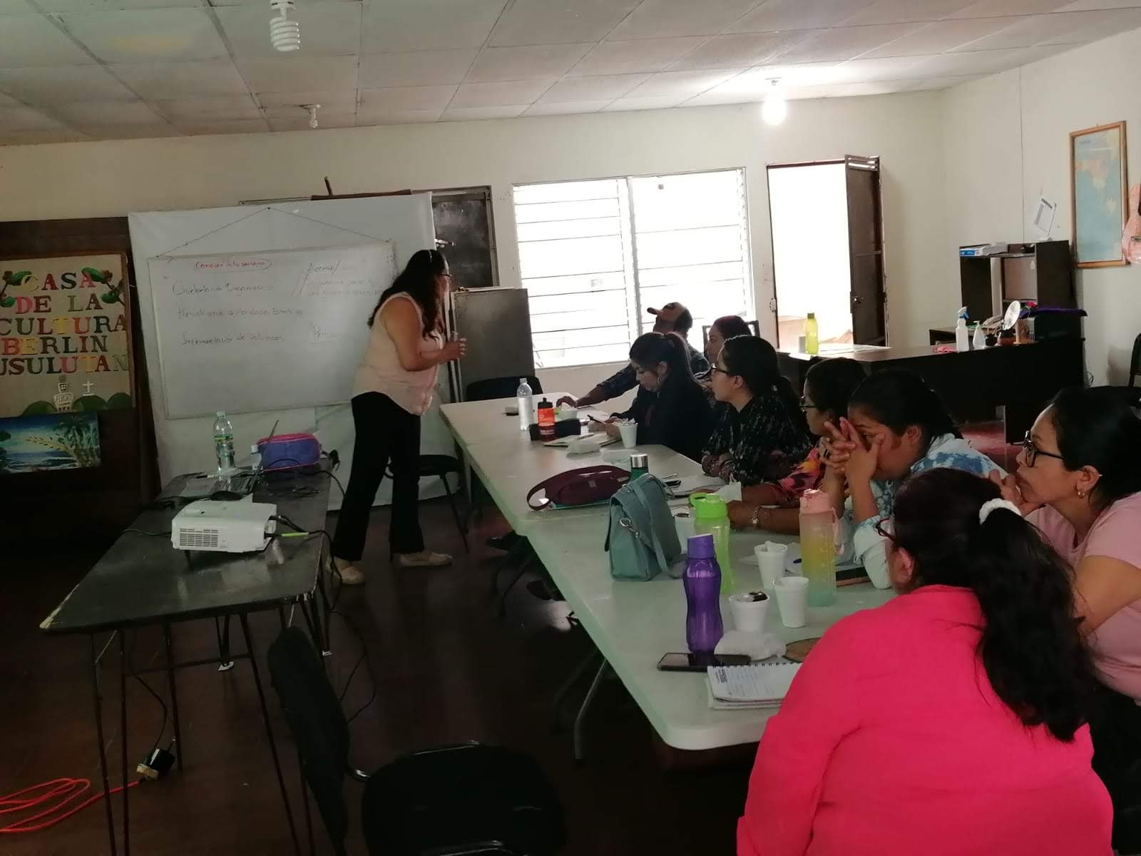 Taller sobre Roles intersectoriales para la incidencia 